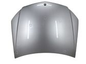 Engine bonnet/hood