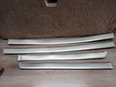 Front door trim (molding)