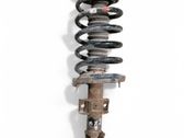 Front shock absorber with coil spring