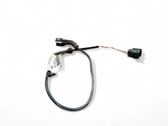 Rear ABS sensor wiring