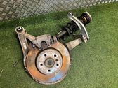 Front wheel hub spindle knuckle