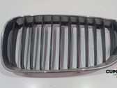 Verkleidung Nebelscheinwerfer / Gitter vorne