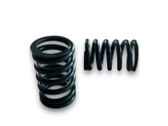 Coil spring mount