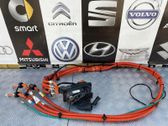 Toma de carga para coche eléctrico