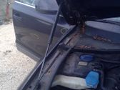 Front bonnet/hood damper/strut