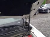Front bonnet/hood damper/strut