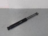 Tailgate/trunk strut/damper