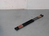 Tailgate/trunk strut/damper