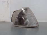 Front fender indicator light