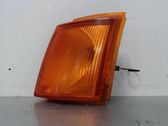 Front fender indicator light