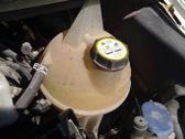 Coolant expansion tank/reservoir cap