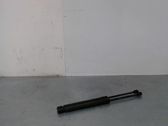 Tailgate/trunk strut/damper