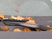Front wiper blade arm