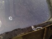 Motorhaube