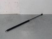 Front bonnet/hood damper/strut