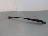 Front wiper blade arm