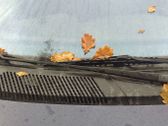 Front wiper blade arm