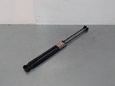 Tailgate/trunk strut/damper