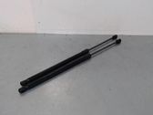Front bonnet/hood damper/strut
