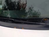 Front wiper blade arm