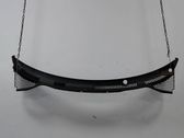 Wiper trim