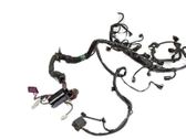 Engine installation wiring loom