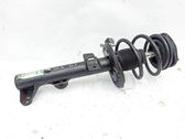 Front shock absorber with coil spring