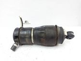 Rear air suspension bag/shock absorber