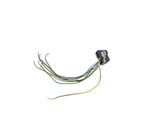 Plug wire