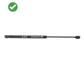Tailgate/trunk strut/damper