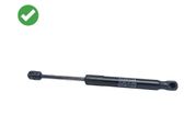 Tailgate/trunk strut/damper