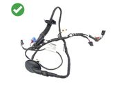 Front door wiring loom