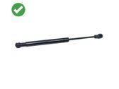Tailgate/trunk strut/damper