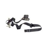 Rear seatbelt