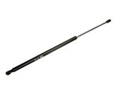 Tailgate/trunk strut/damper