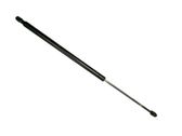 Tailgate/trunk strut/damper