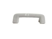Front interior roof grab handle