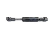 Tailgate/trunk strut/damper