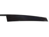 Front door trim (molding)