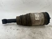 Shock absorber/damper/air suspension