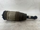 Shock absorber/damper/air suspension