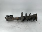 Stoßdämpfer hinten