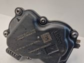 Throttle body valve