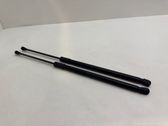 Tailgate/trunk strut/damper