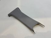 (C) pillar trim