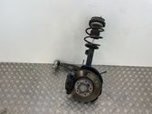 Front wheel hub spindle knuckle