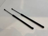 Tailgate/trunk strut/damper