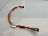 Other wiring loom