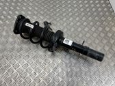 Amortiguador delantero con muelle espiral