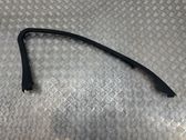 Other front door trim element
